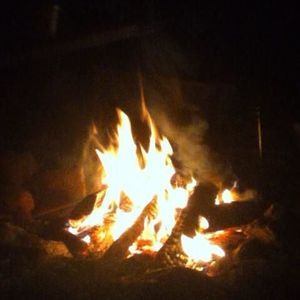 Meet your Posher, Benjamin